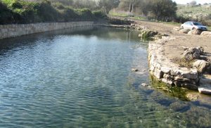 מעיין הסוסים